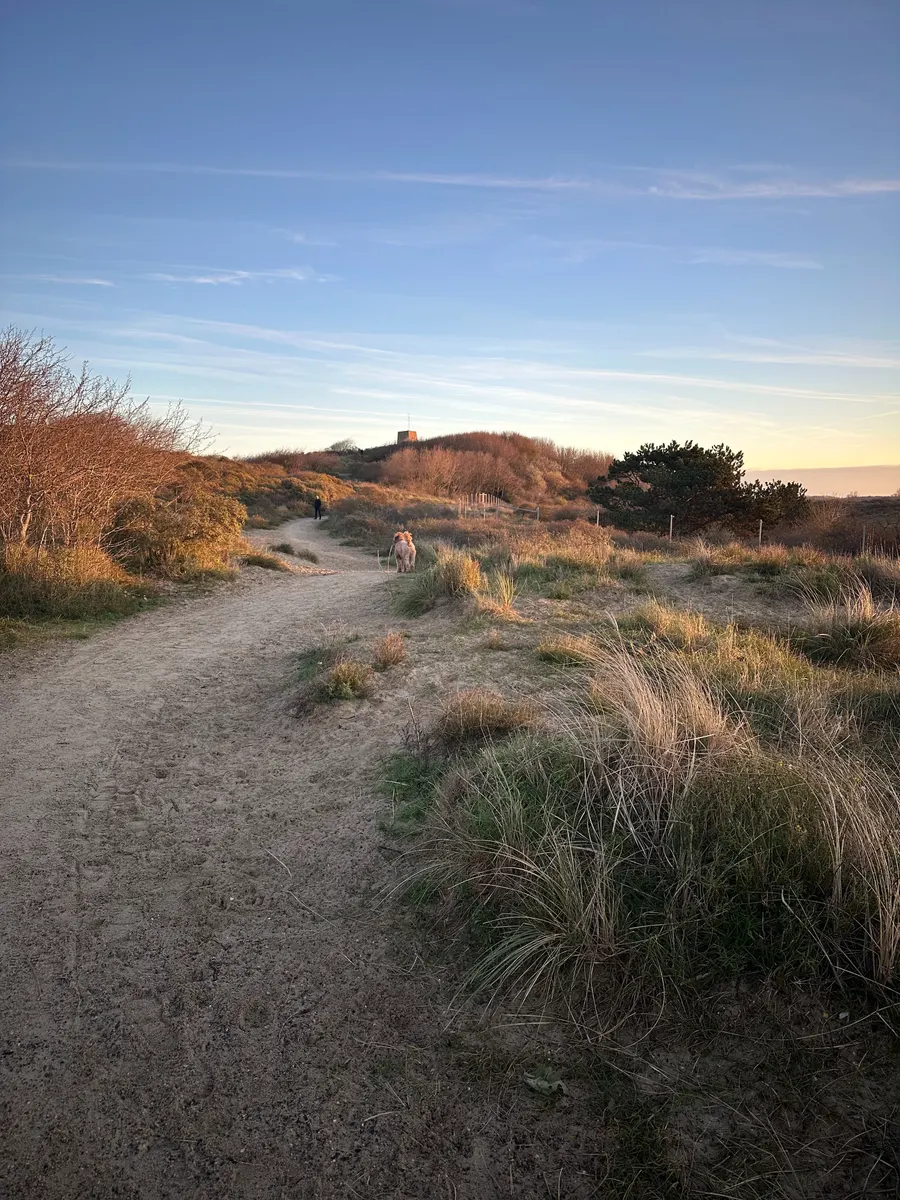 Pad door de duinen richting zee